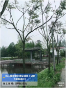 <b>沅江排涝能力建设项目即将完工</b>